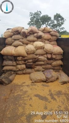 WATER AFFECTED STOCK OF WHEAT APPROX. 29,725 KGS